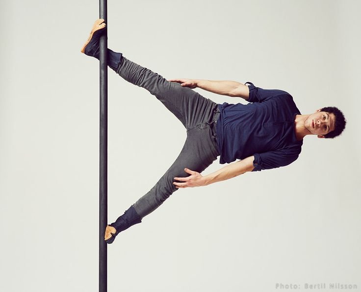 kineska sipka pole dance